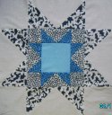 fotky 26(40x40)