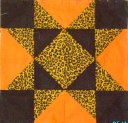 fotky 205(40x40)